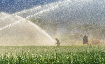 Irrigation equipment exports reach $100m in 8 months
