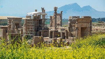 Farming in Persepolis buffer zone limited to protect ancient site, official says