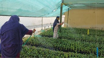 UN-Habitat, Japan join efforts to empower women, boost climate resilience in Hormozgan 