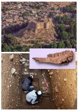 Prehistoric discoveries at Falak-ol-Aflak castle strengthen UNESCO bid