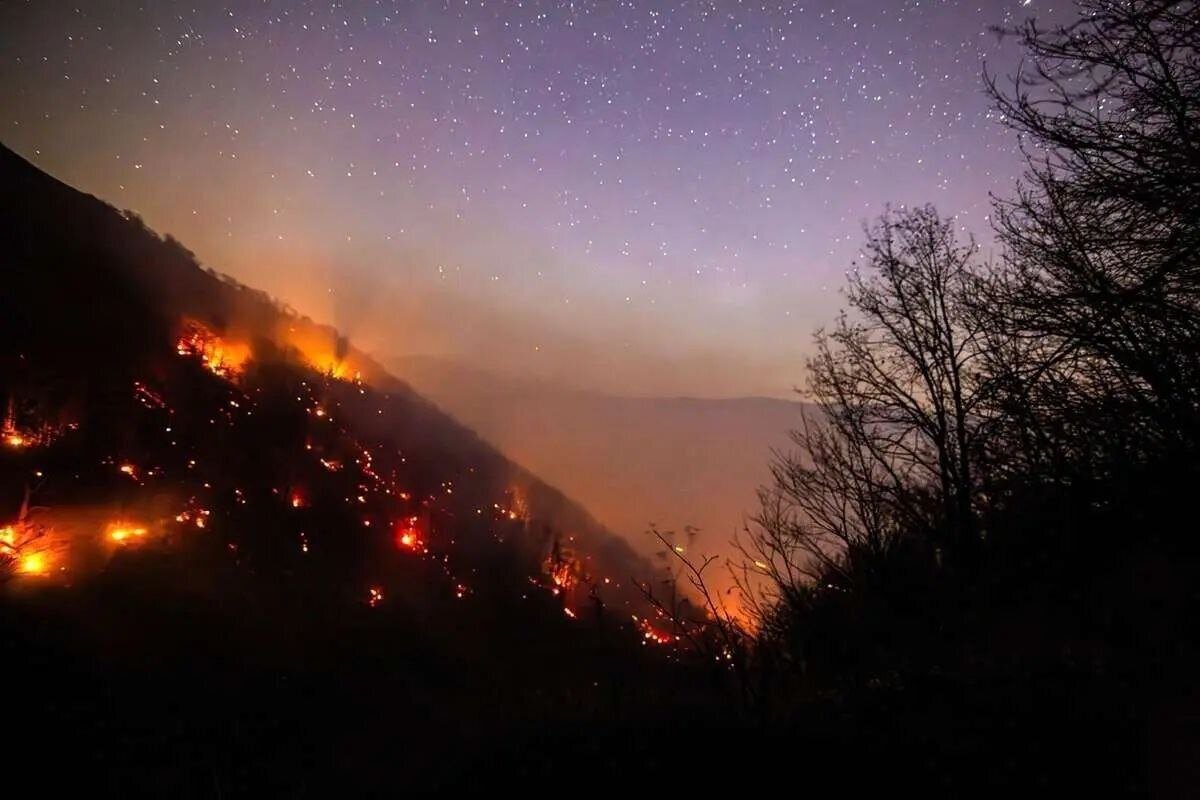 DOE develops five-year wildfire monitoring plan