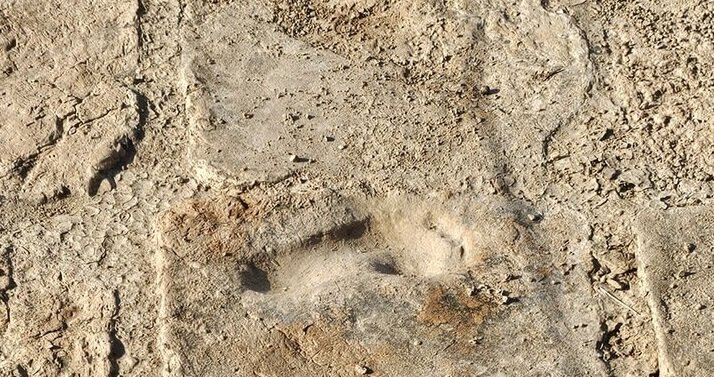 At Tchogha Zanbil, a living monument to Elamite faith and engineering