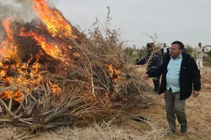 Jashn-e Sadeh: Khur residents prepare for ancient fire festival