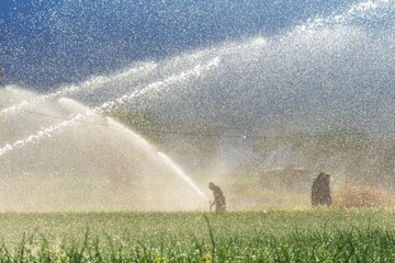Iran to roll out 110 smart irrigation projects, expand solar power on farms