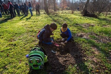 Department of Environment enumerates measures to enhance public participation