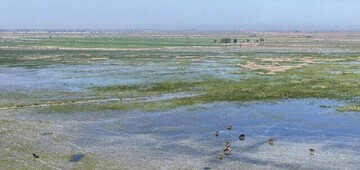 DOE restoring four wetlands across country