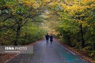 Hyrcanian forests management project to kick off 