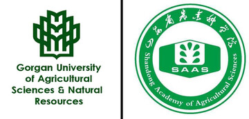 Iranian, Chinese universities ink MOU on science, research