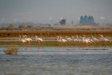 Iran to host Ramsar Convention Regional Center for three more years