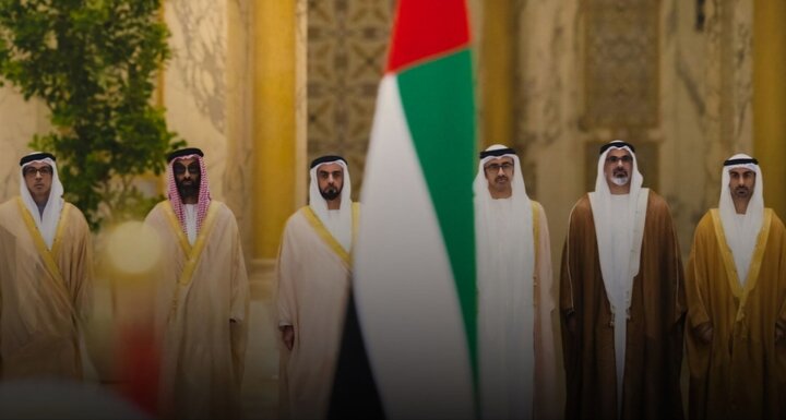 The family of bin Zayeds