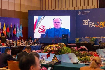 ‘US aggression has cast a shadow over global, regional food security’