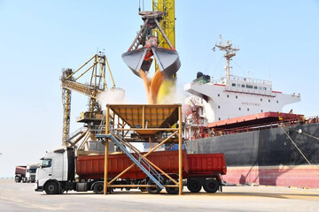 Over 8m tons of goods loaded, unloaded in Hormozgan ports during war
