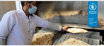 WFP releases February report on Iran