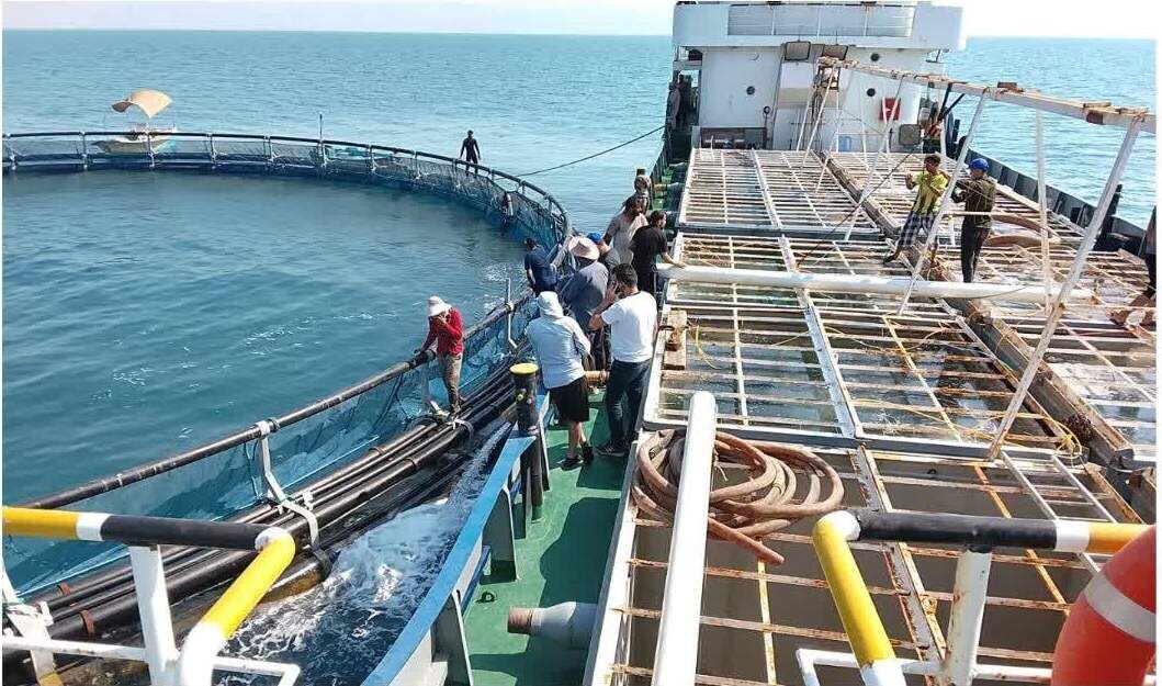 Iran advances 16 fisheries port projects, completes 5 last year