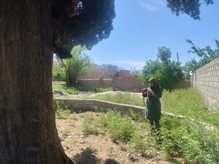 Kerman province begins process to register natural heritage sites in its Golbaf region