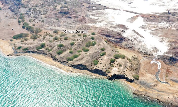 Rethinking the Persian Gulf’s role in deep time human history