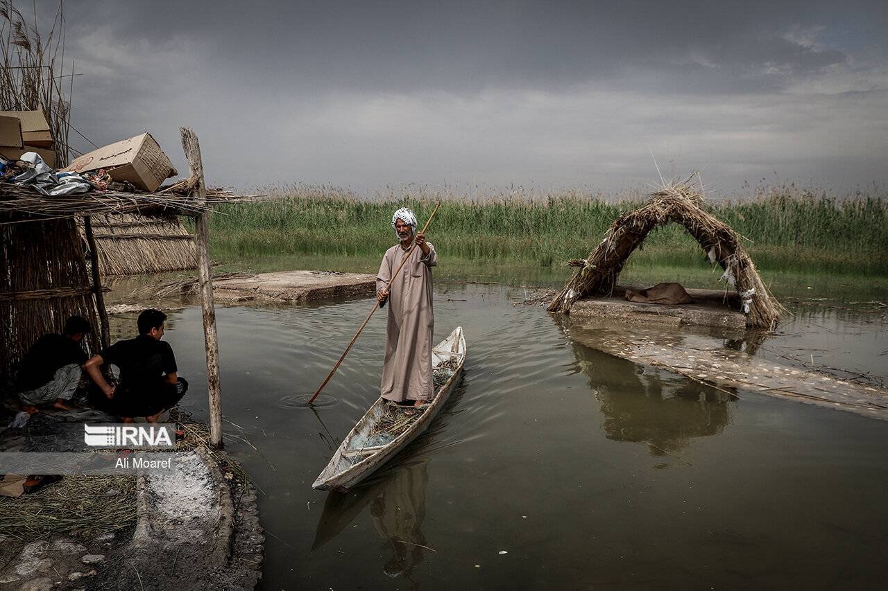 Life-giving rains recover Shadegan wetland