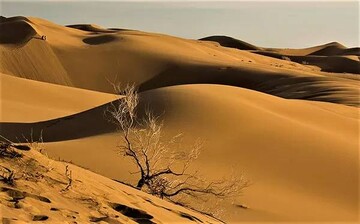 Sustainable desert tourism with educational campaign promoted in Mesr Village