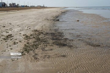 Ballast water from damaged tanker responsible for oil spill in Kharg: DOE