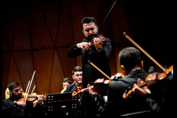 Violin