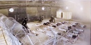 The rape factories Israel can no longer bury