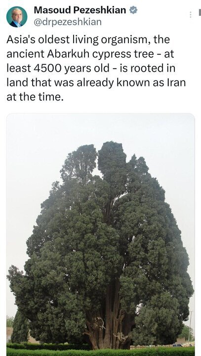 Iran president cites ancient Abarkuh cypress in message aimed at Trump