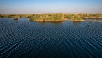 Rainfall, restoration projects replenish many wetlands