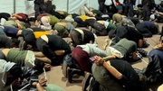 Disgusting remarks against Sumud activists