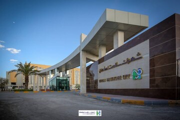 Isfahan positioned as regional medical tourism hub as Iran plans integrated health system