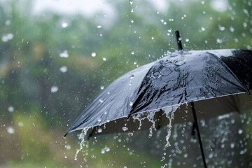 Rainfall increases by 3.8% compared to long-term