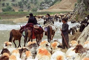 UNESCO designates Dalankuh–Qamishlou as Iran’s 14th biosphere reserve