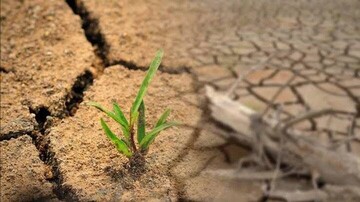 Rangelands restoration key to combating desertification, drought