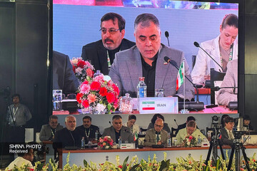 Oil minister stresses BRICS cooperation to achieve energy security
