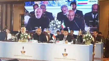 Iran committed to establishing a fair economic order in world, minister says at BRICS meeting