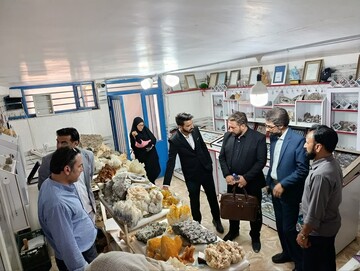 Tourism delegation from Afghanistan visits Iran’s barberry capital to expand cooperation