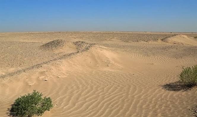 SDS hotspots in Iraq, Syria affecting Iran to be controlled