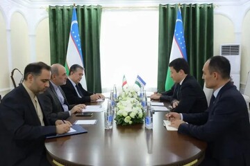 Tehran, Tashkent discuss direct flights and visa facilitation