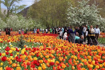 Mahalat: Discover the Netherlands of Iran