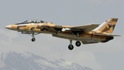 Military official: Three Iranian pilots held captive in Qatar for nearly six months