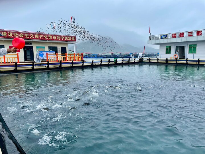 How China's marine farming model can reshape Iran's coasts