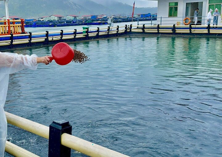 How China's marine farming model can reshape Iran's coasts
