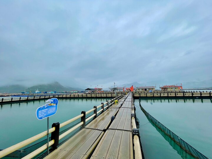 How China's marine farming model can reshape Iran's coasts