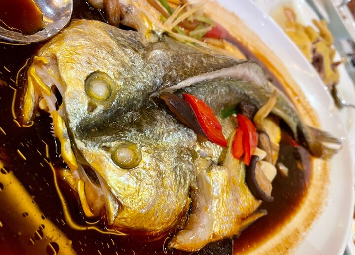 How China's marine farming model can reshape Iran's coasts