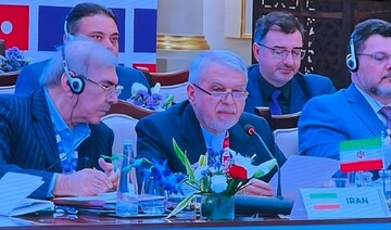 Iran urges BRICS to build resilient and sustainable tourism sector