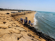 Trump-Netanyahu’s war crimes against the environment