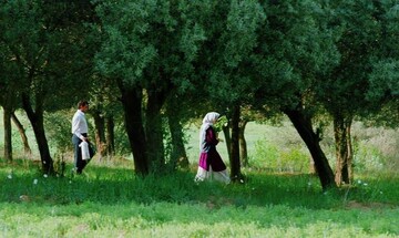 Cinema Museum to show restored version of Kiarostami’s “Through the Olive Trees”