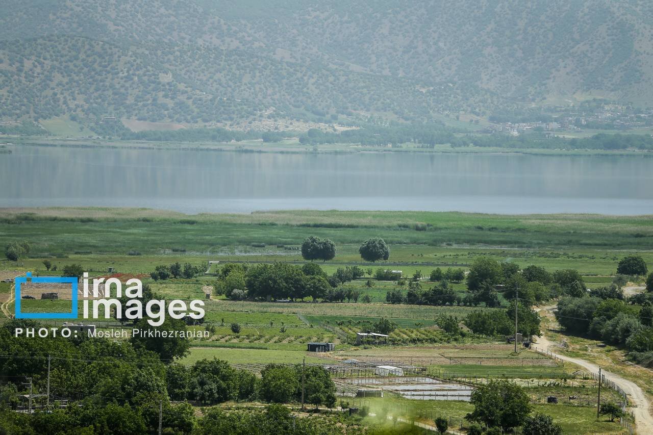 Data-driven strategies to strengthen biodiversity conservation efforts