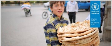 WFP releases July report on Iran