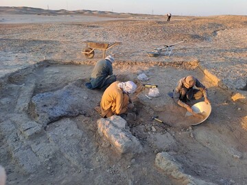 4,600-year-old board game, decorated bone comb unearthed at Burnt City in southeast Iran