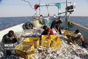 US drone strike targets Iranian fishing boats in the Persian Gulf 